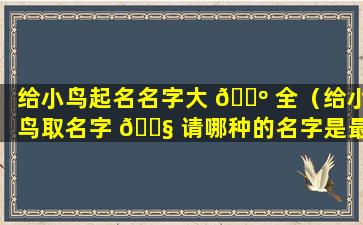 给小鸟起名名字大 🐺 全（给小鸟取名字 🐧 请哪种的名字是最好的）